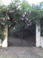 gate